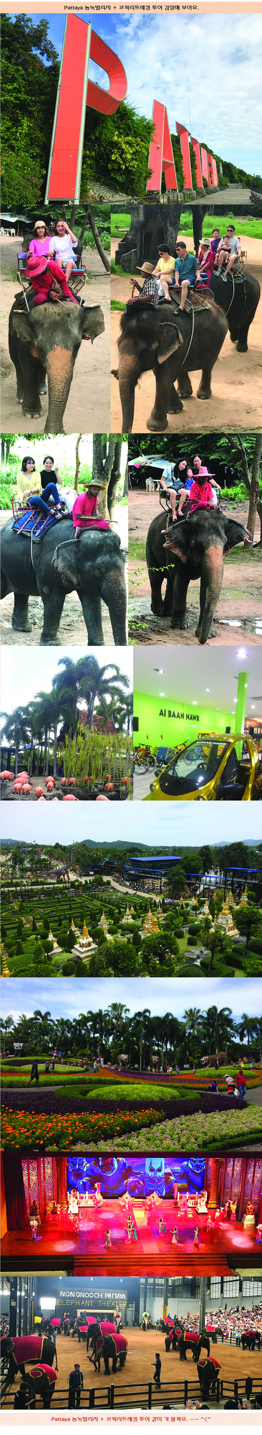 1546677806piey94.jpg